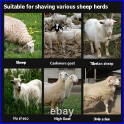 1KW Home Electric Sheep Goat Shearing Machine Clipper Wool Scissor Shear Cutter