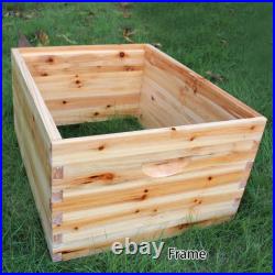 7 Pcs Free Flowing Honey Hive Beehive Frames+Beekeeping Brood Cedarwood Box UK
