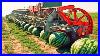 Amazing_Agriculture_Machines_Operating_At_An_Insane_Level_01_lg