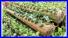 Amazing_Farming_Ideas_For_Your_Home_U0026_Garden_01_msim