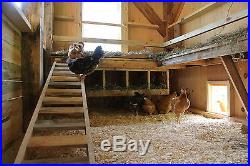 Automatic Chicken Coop Door Opener with Motor and Timer included (Complete Kit)