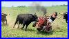 Best_Farm_Life_Fails_Farm_Animal_U0026_Tractor_Fails_01_ybp