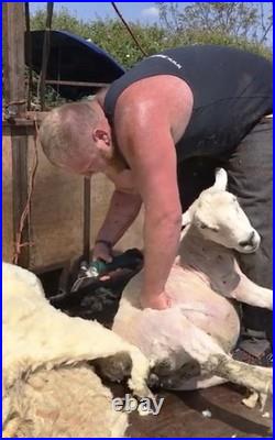 Cordless Outback Sheep Shearer? Masterclip Sheep Clipper with Dagging Blade