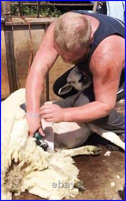 Cordless Outback Sheep Shearer? Masterclip Sheep Clipper with Dagging Blade