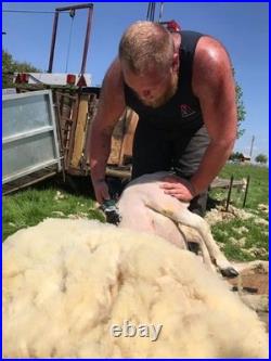 Cordless Outback Sheep Shearer? Masterclip Sheep Clipper with Dagging Blade