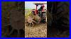 Desi_Jatt_Tractor_Tractorshort_Small_Farm_Tractor_Discription_01_ka