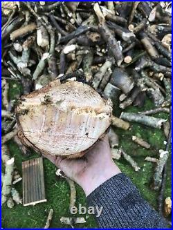 Logs, Fire Wood, Branch Logger, Wood Processor REMET www.remetcnc.co.uk