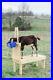 New_Small_Goat_Milking_Stand_for_Pygmy_and_Nigerian_Dwarf_Goats_32in_Natural_01_ofh