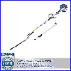 Petrol Hedge Trimmer Pole Pruner Extension Long Reach 52cc 3 Metre Reach