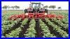 Potato_Planting_And_Harvest_Grimme_The_Most_Amazing_Modern_Agriculture_Equipment_In_The_World_01_aum