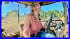 Tractor_Work_For_Days_Kicking_Off_Fall_Tillage_2026_01_uzpr