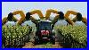 World_Amazing_Modern_Apple_Farm_Harvester_Agriculture_Technology_Tractor_Loader_Truck_Mega_Machines_01_lw